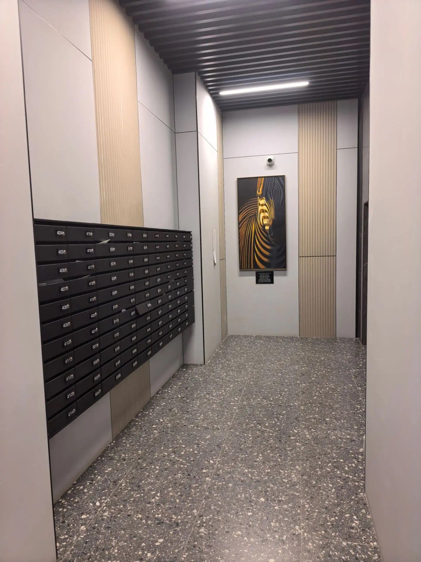 Gallery 5